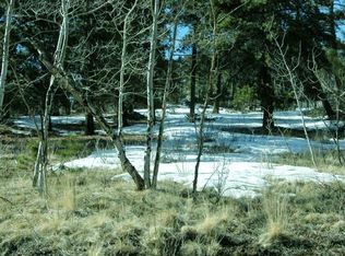 Delwood, Bailey, CO 80421