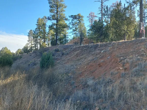 1915 AZ-260 -- #178, Overgaard, AZ 85933