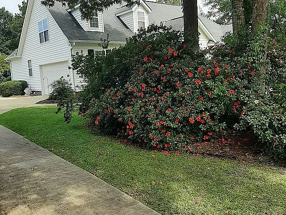2nd image of 115 Hollow Tree Ct
