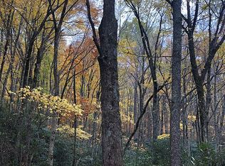 Oswego Way, Waynesville, NC 28785
