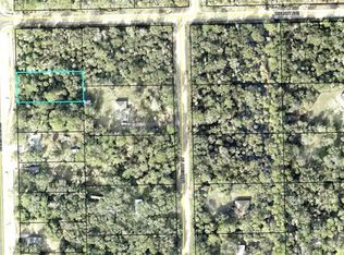 2289 Water Oak Rd LOT 20, Bunnell, FL 32110