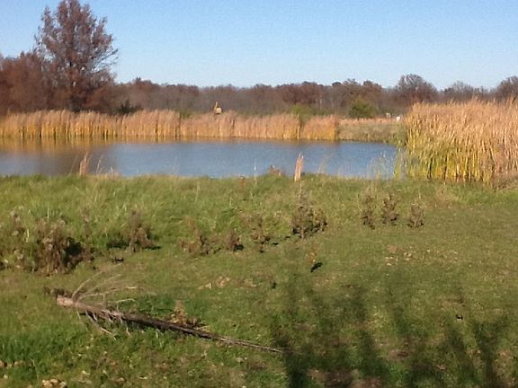 5 acres including a pond!