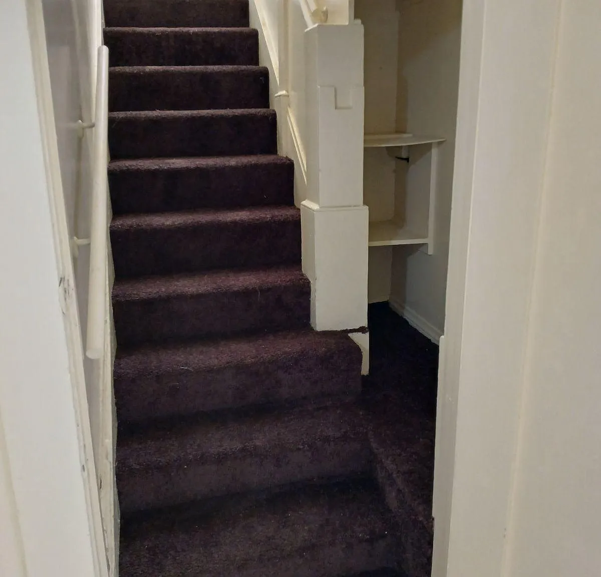 3 bed, 1.5 bath, 1250 sqft, $3,250 — Photo 4