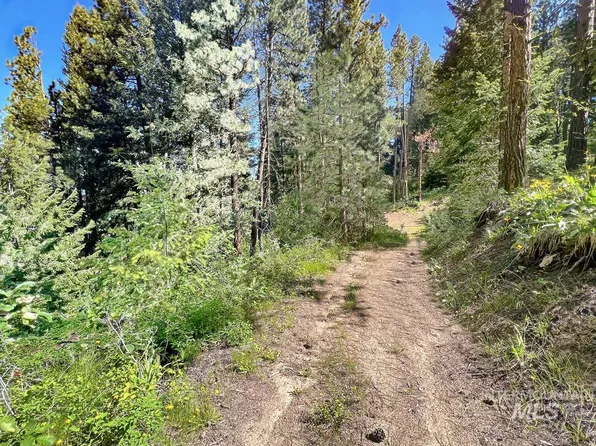 458 Collier View Rd, Cascade, ID 83611