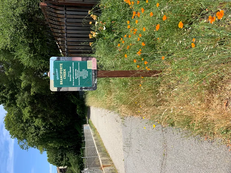 135 May Ave — Photo 20