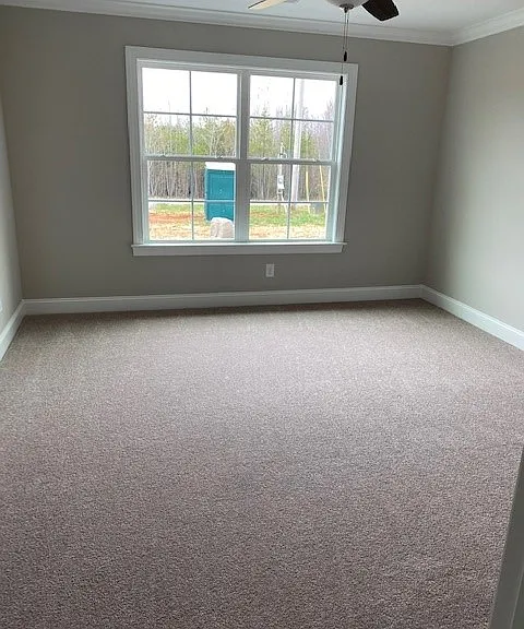 8328 Coldwater Rd — Photo 5