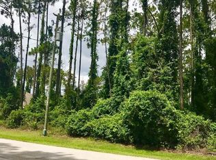 53 Eagle Harbor Trl, Palm Coast, FL 32164