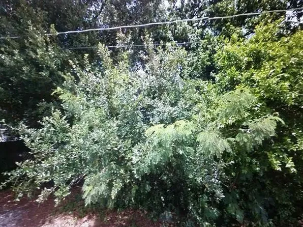 4303 Cragmont Dr, Tampa, FL 33610