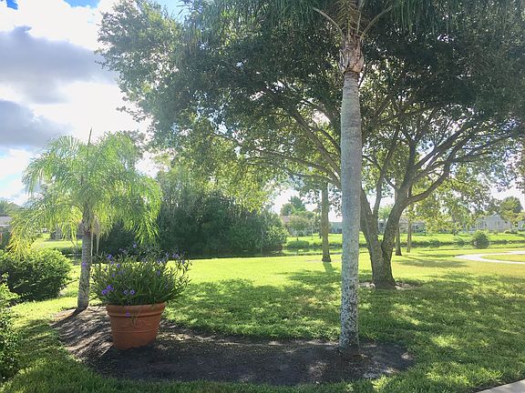 View From Lanai
