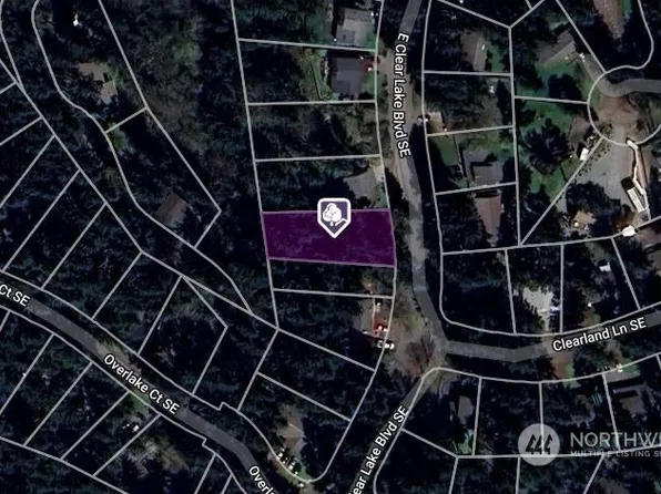 17921 Clear Lake Boulevard SE, Yelm, WA 98597