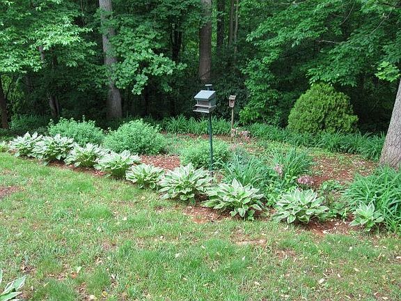 5th image of 1124 Brookwood Dr