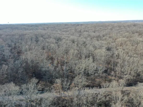 0 Runnels Dr, Wappapello, MO 63966
