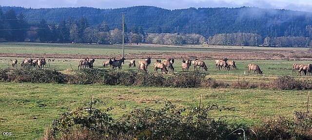 1st image of 16333 Siletz Hwy