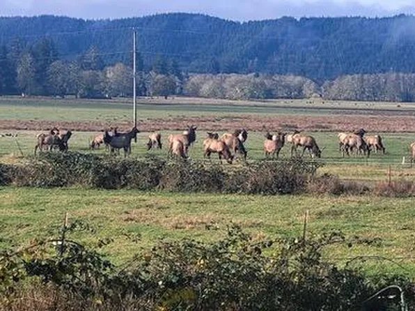16333 Siletz Hwy, Siletz, OR 97380