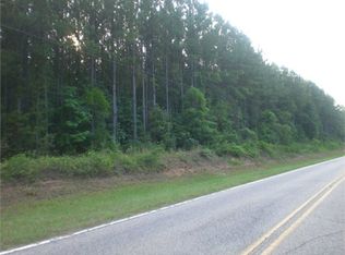 967 Claxton Ave N, Elba, AL 36323