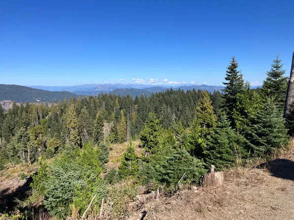 12350 Forest Service Route Willow, 1 Creek, CA 95549