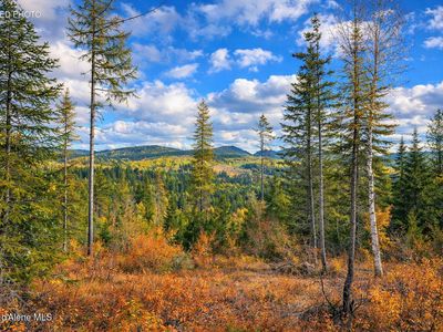 Nka 40 Ac Crosswhite Rd, Careywood, ID, 83809