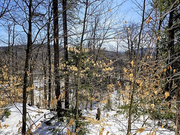 2nd image of Lot 10-C Staples Pond Road