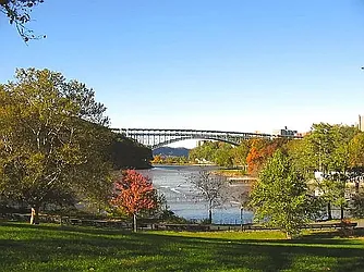 Rented by Executive Towers 