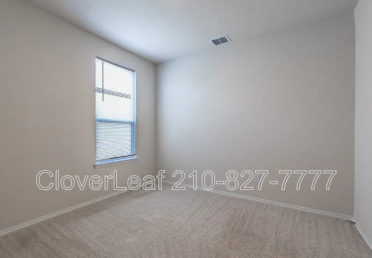 6823 Ashcat — Photo 28