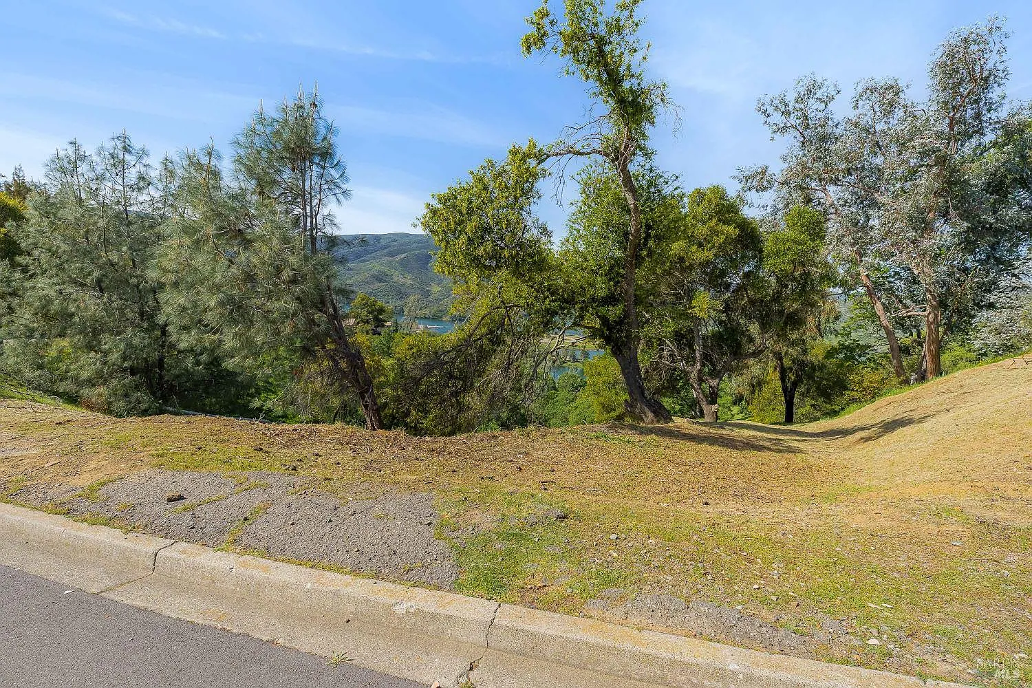 0 Steele Canyon Road photo 1