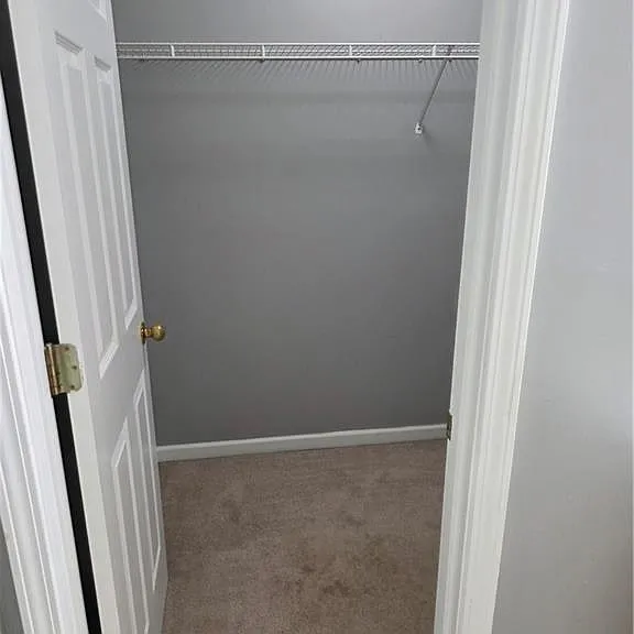 1529 Sydney Pond Cir — Photo 17