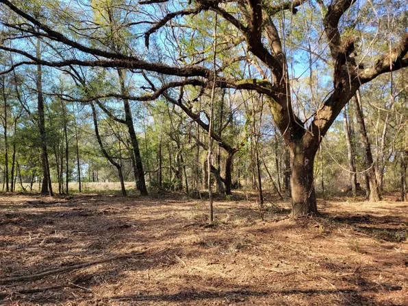 315 High Way #32, Fort Mc Coy, FL 32134
