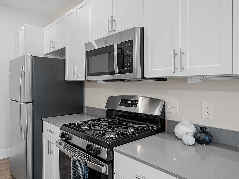 Stainless Steel Appliances