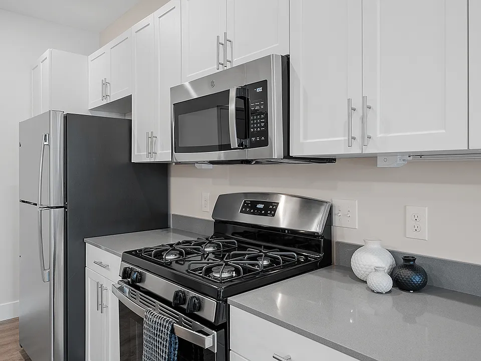 Stainless Steel Appliances