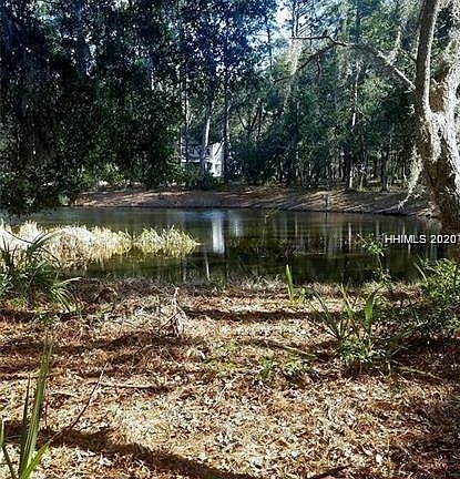 4th image of 6 Marsh Lake Ln