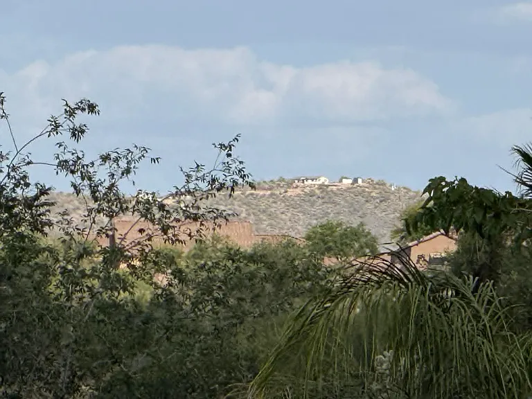 10450 S Cutting Horse Dr — Photo 31