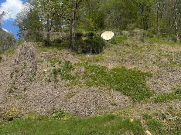 Dante Mountain Rd, Mc Clure, IL 62957