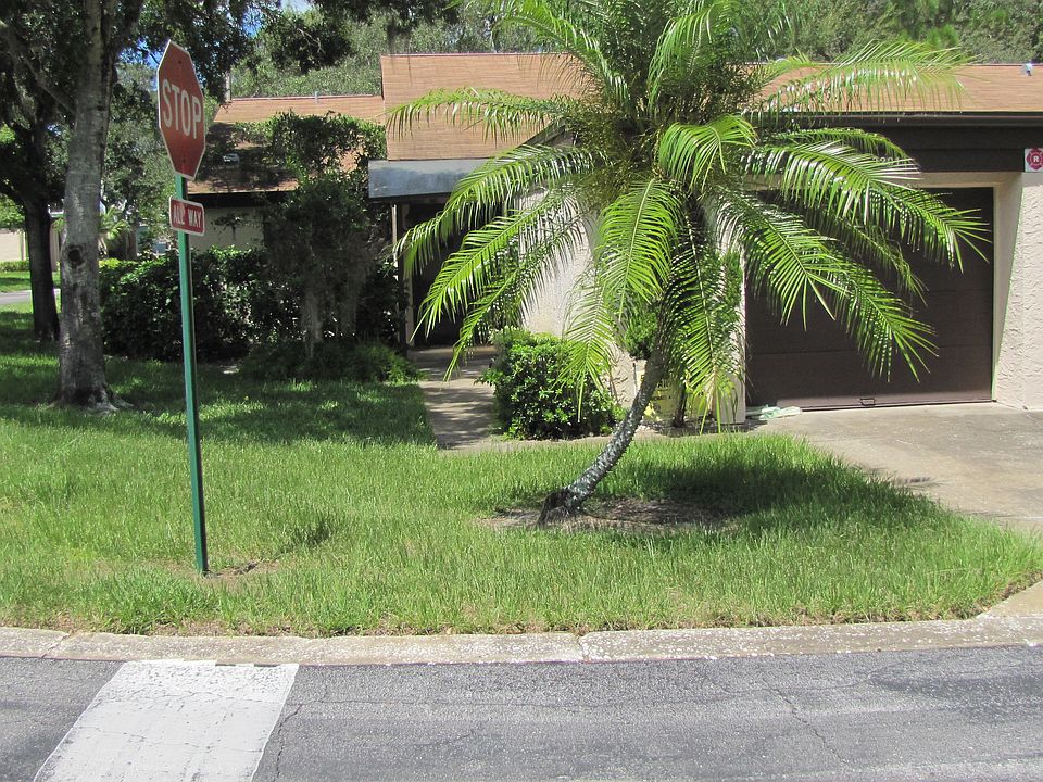 1st image of 3201 Green Dolphin St