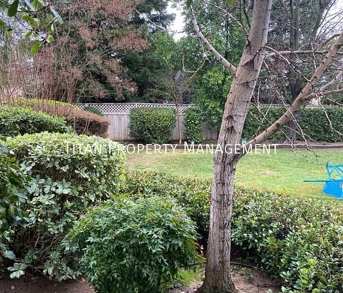 6184 Burnt Cedar Way — Photo 22