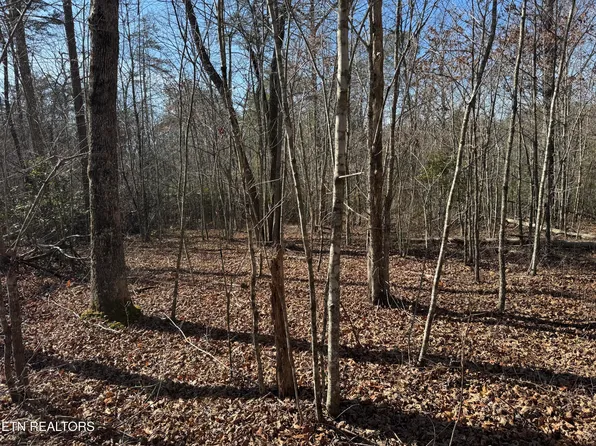 LOT 6 Cumberland Cove Rd, Monterey, TN 38574