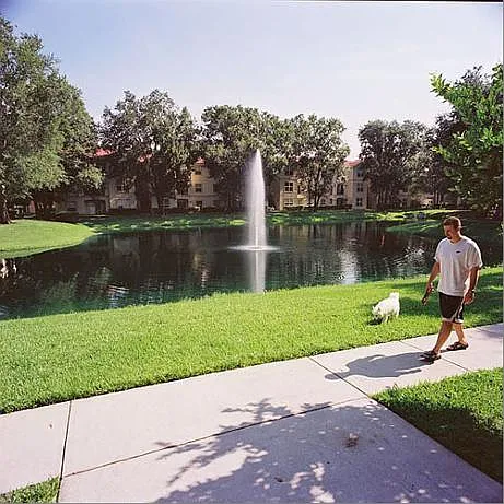 2 bed, 1200 sqft, $1,650 — Photo 4
