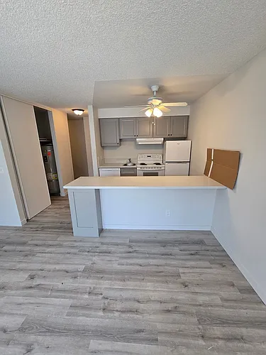 Floor plan Studio