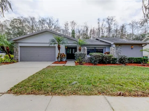 3428 Brian Rd S, Palm Harbor, FL 34685