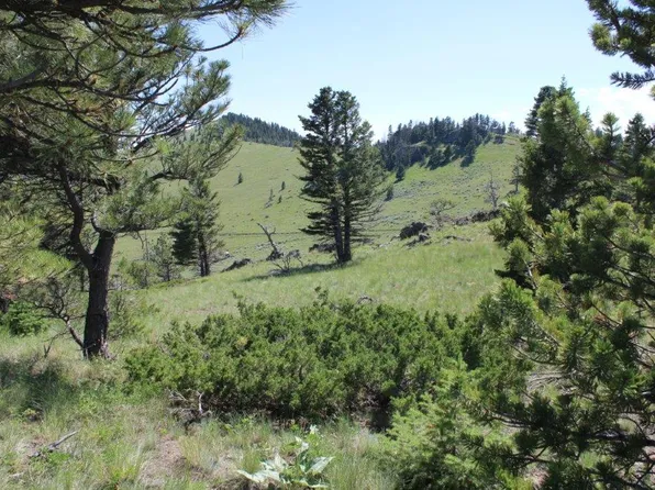 Black Canyon Ln, Cascade, MT 59421