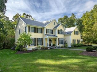 53 Old Mill Rd, Chester, NJ 07930