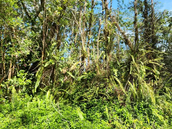 Lehua Rd Lot 29, Pahoa, HI 96778