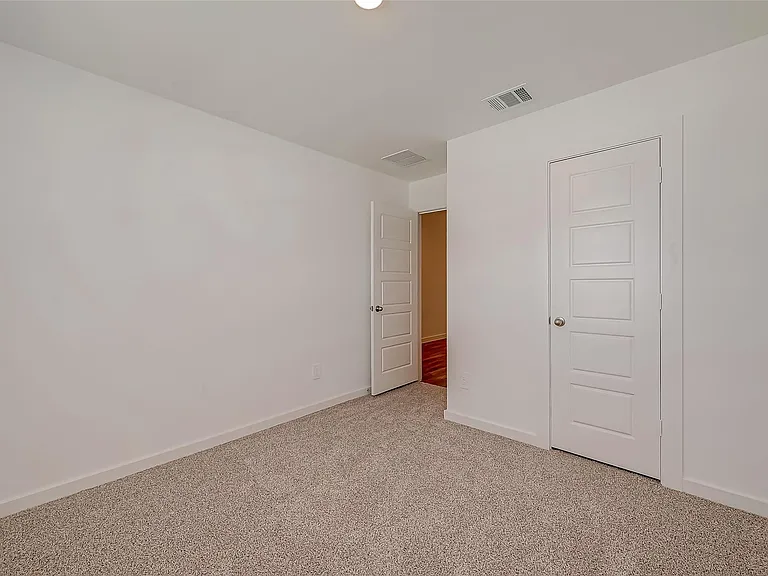 1018 Fringed Bluestar Dr — Photo 22