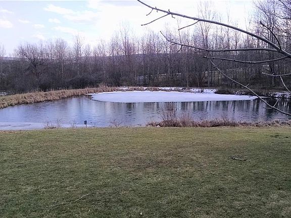 Pond