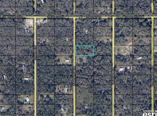 10230 WEATHERBY AVENUE, HASTINGS, FL 32145