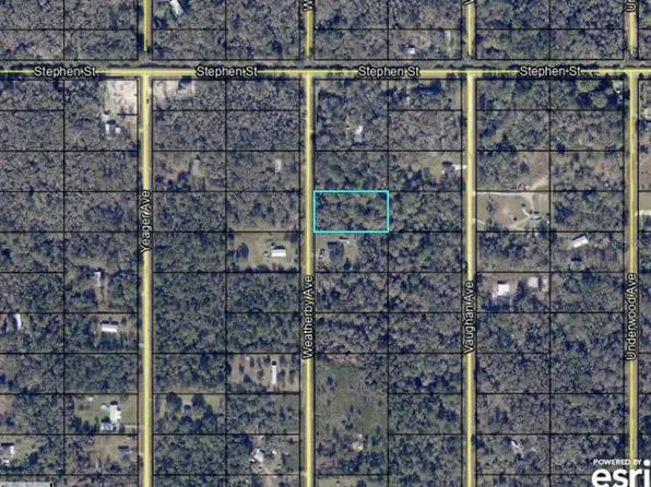 10230 WEATHERBY AVENUE, HASTINGS, FL 32145