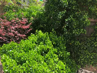 Rented by Waverly Realty Associates