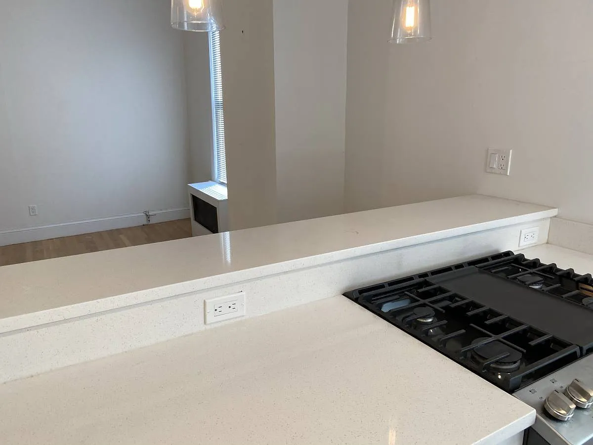 38 Newton St #2 in Brighton, MA 02135 — Photo 3