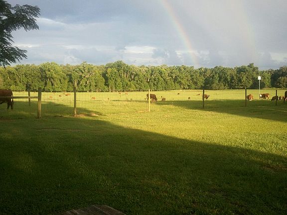 Pastureland