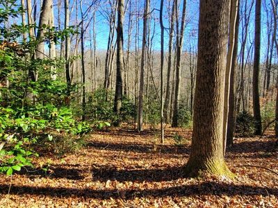 152 2nd Ave, Fayetteville, WV, 25840