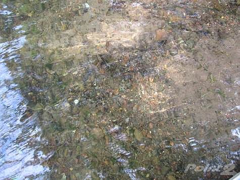 Shoreline